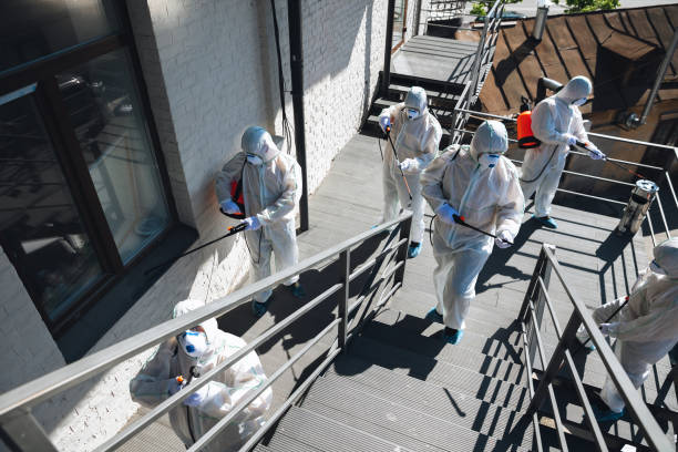 Best Mold Odor Removal Services  in Center Point, NM