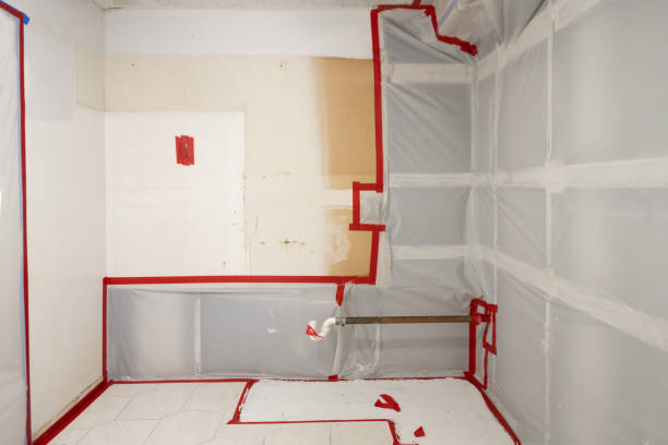 Best HVAC Mold Inspection and Cleaning  in Center Point, NM