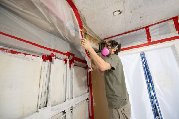 Best Mold Removal for HVAC Installations  in Center Point, NM
