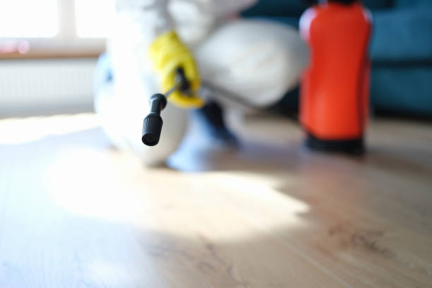 Best Air Quality Testing for Mold Spores  in Center Point, NM