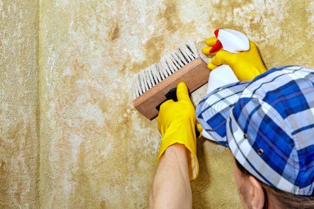Best Comprehensive Air Testing for Mold Contaminants  in Center Point, NM