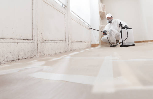 Mold Remediation for Vacation Homes in Center Point, NM